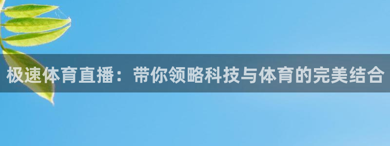 松鼠宝贝体育：极速体育直播：带你领略科技与体育的完美结合