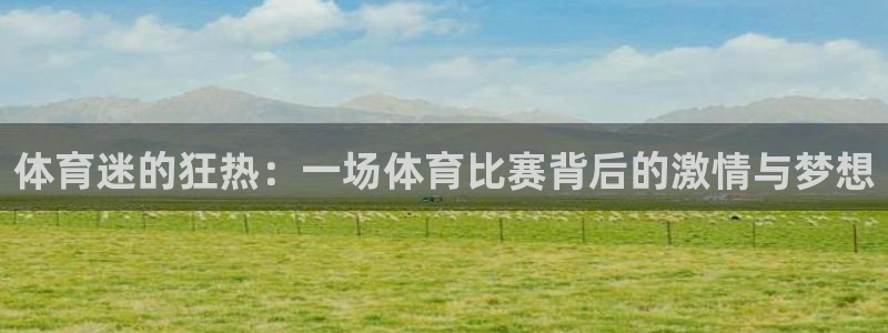 松鼠体育在线直播：体育迷的狂热：一场体育比赛背后的激情与梦想