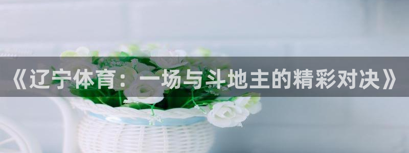 松鼠休闲游戏官网：《辽宁体育：一场与斗地主的精彩对决》