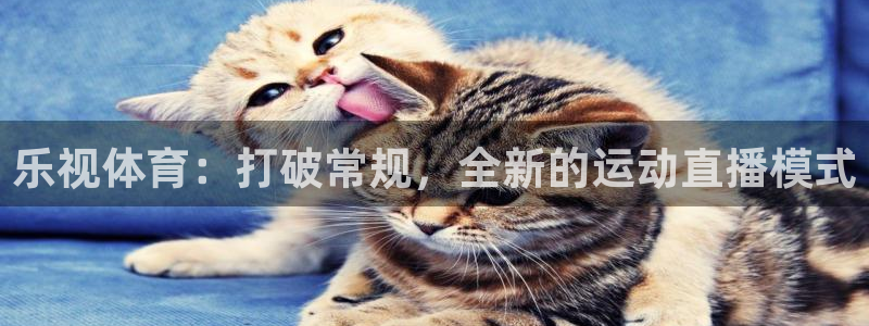 松鼠直播nba：乐视体育：打破常规，全新的运动直播模式