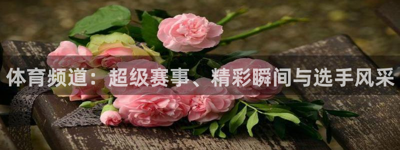 松鼠官方网站：体育频道：超级赛事、精彩瞬间与选手风采