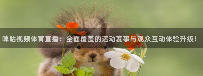 松鼠体育在线直播视频：咪咕视频体育直播：全面覆盖的运动赛事与观众互动体验升级！