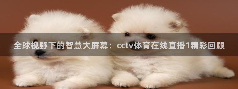 松鼠体育在线直播视频：全球视野下的智慧大屏幕：cctv体育在线直播1精彩回顾