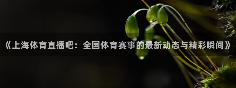松鼠体育在线直播下载：《上海体育直播吧：全国体育赛事的最新动态与精彩瞬间》