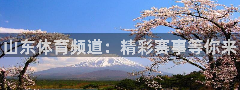 松鼠直播体育：山东体育频道：精彩赛事等你来