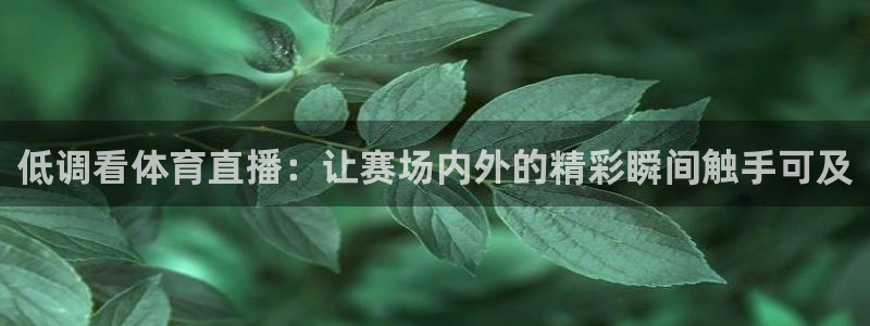 松鼠客户端：低调看体育直播：让赛场内外的精彩瞬间触手可及